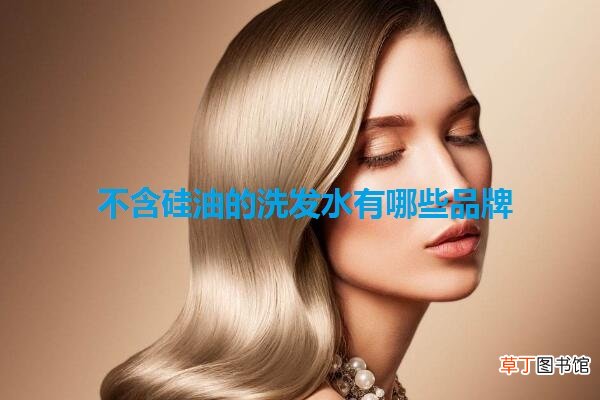 不含硅油的洗发水有哪些品牌