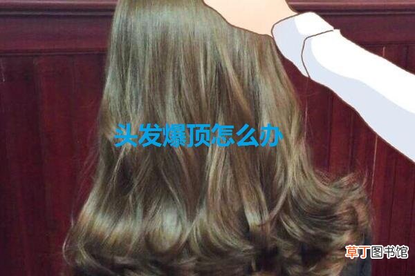 头发爆顶怎么办