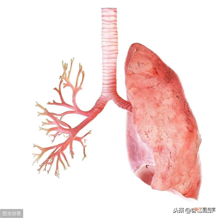 支气管炎变好的三个过程 气管炎多久能好