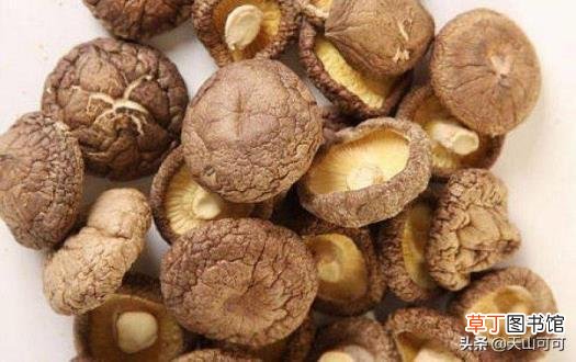 新鲜香菇需要用水泡多久 香菇可以泡多久