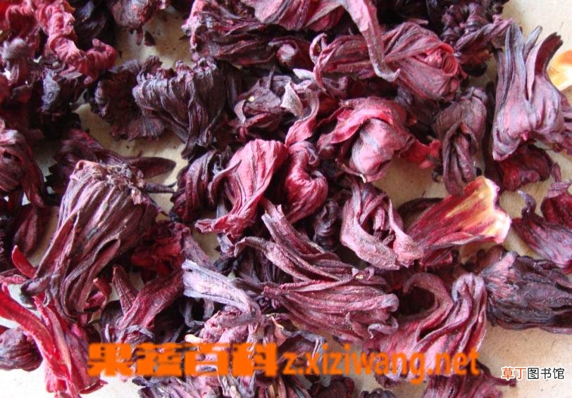 玫瑰茄的功效与作用