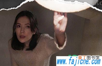 秘密访客是不是翻拍的 秘密访客模仿了哪一部电影