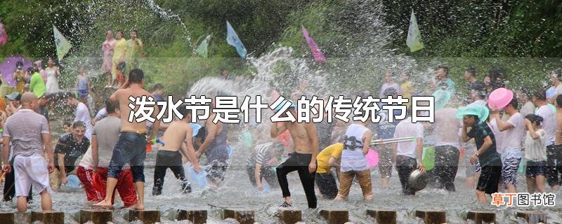 泼水节是什么的传统节日