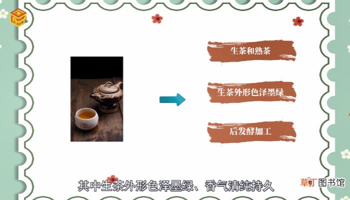 普洱茶属于什么茶