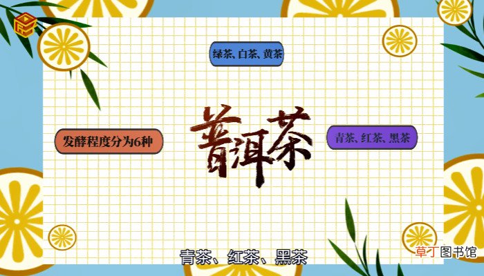 普洱茶属于什么茶