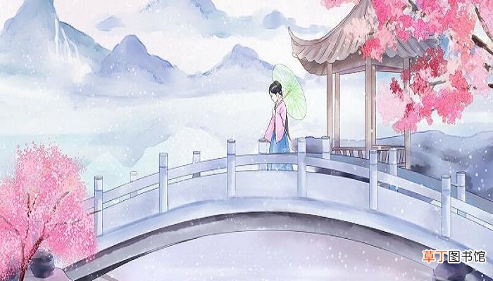 圣女婊是什么意思啊