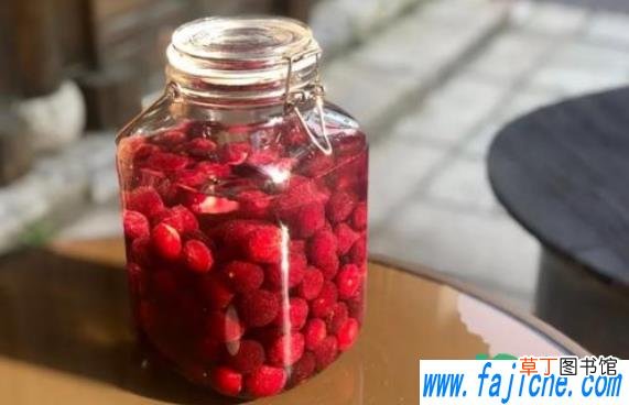 泡杨梅的白酒用散装的可以吗 泡杨梅酒用散装酒还是瓶装酒