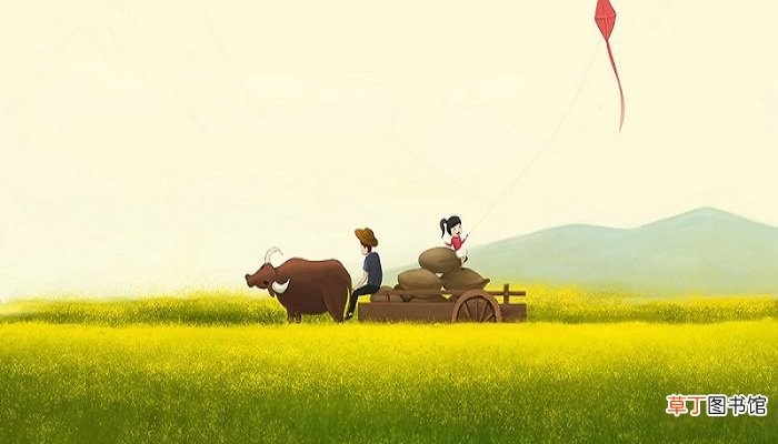 在广东姓冼代表什么