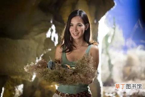 战狼拍了几部了 战狼拍了多久