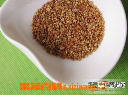 荞麦的功效与作用