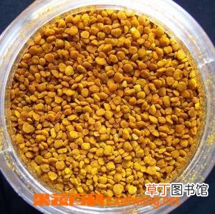 蜂花粉的功效和作用,副作用