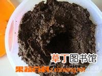 当归粉的功效与作用