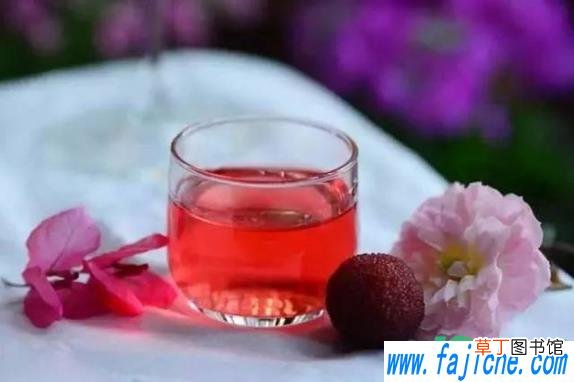 泡杨梅酒是用杨梅干吗 杨梅泡酒是新鲜的还是干的好