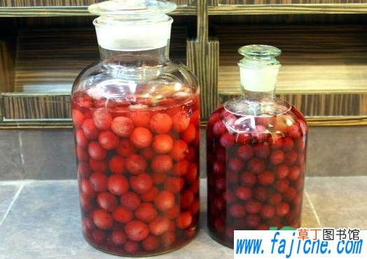 泡杨梅酒是用杨梅干吗 杨梅泡酒是新鲜的还是干的好