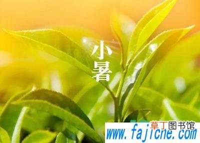 小暑下雨好还是不下雨好 2021年小暑下雨大暑热吗