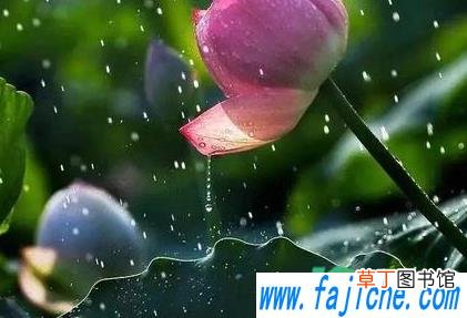 小暑下雨好还是不下雨好 2021年小暑下雨大暑热吗