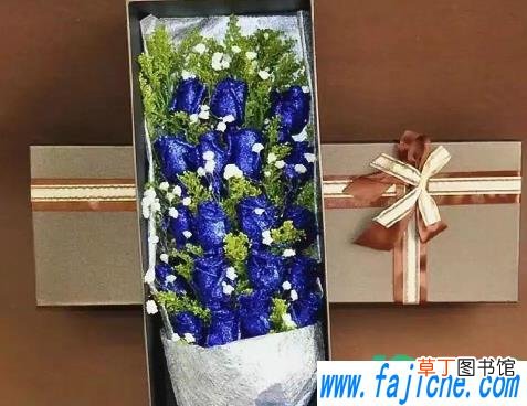 520送女朋友什么花比较好 520送女朋友红玫瑰还是蓝色妖姬
