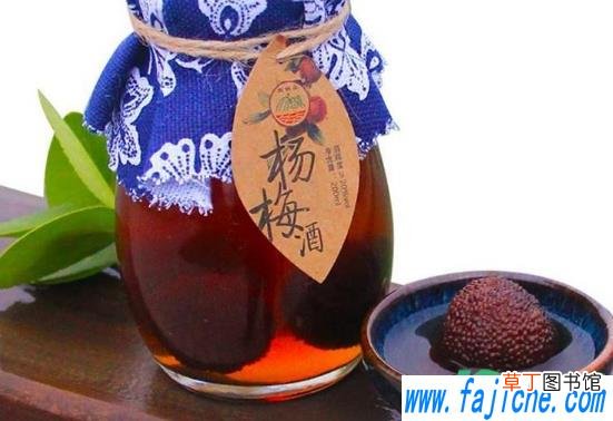 杨梅酒用单晶冰糖还是用老冰糖 泡杨梅酒用单晶冰糖好还是多晶冰糖好