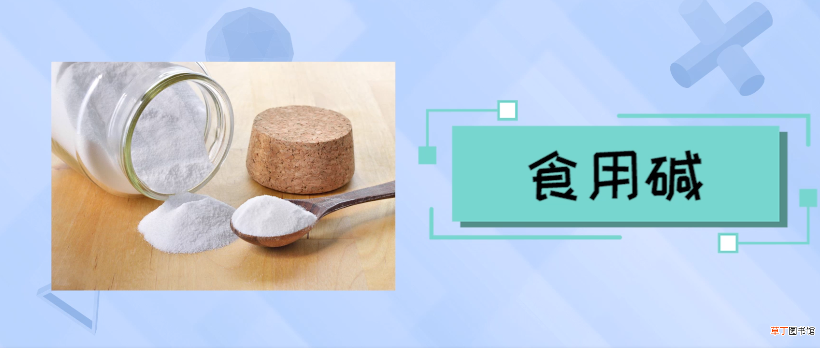 酵母粉和小苏打的区别