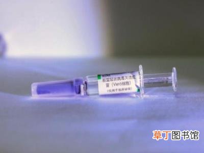 世界预言疫情2022年结束真的假的?易经推算全球疫情结束时间?世界疫情2022年会结束吗