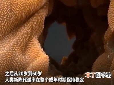 人到中年为什么会发福 中年发福不是因为新陈代谢变慢