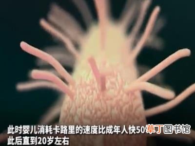 人到中年为什么会发福 中年发福不是因为新陈代谢变慢