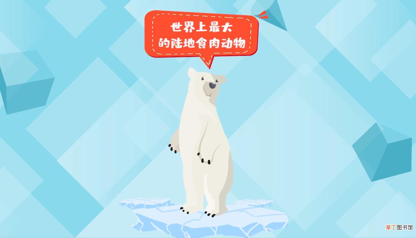 北极熊冬眠吗