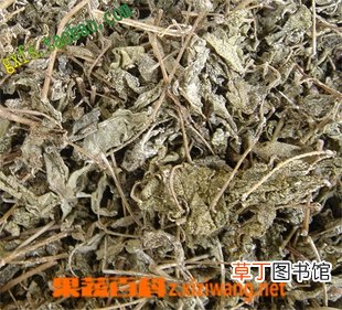 溪黄草的功效与作用
