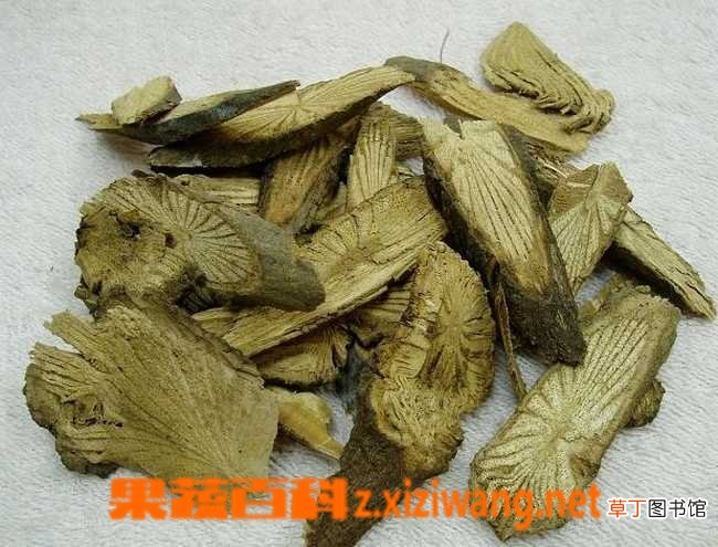 青风藤的功效与作用