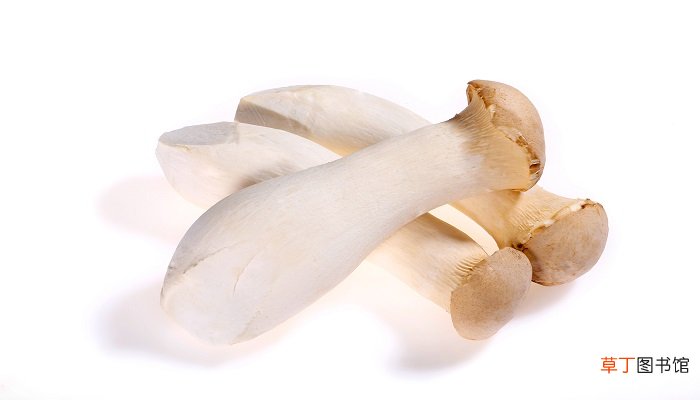杏鲍菇煮多久才熟