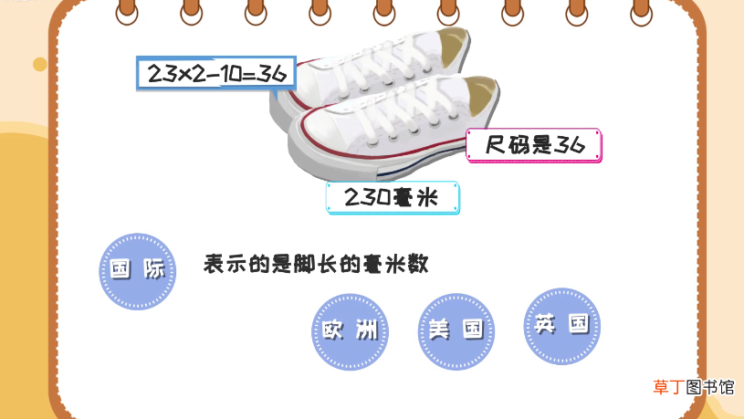 230是多少码的鞋子女