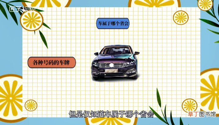 鲁h是山东什么地方的车牌