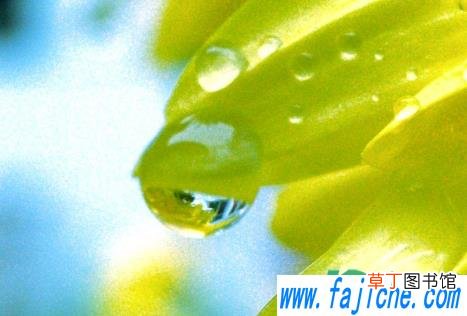 2021年几月份雨水多 2021年秋季雨多吗