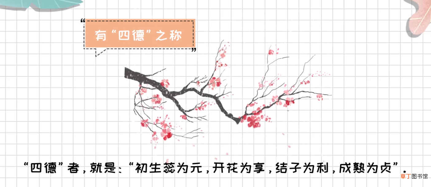 梅花的花语
