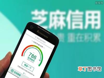 提高的方法有哪些? 芝麻分为什么被降低了
