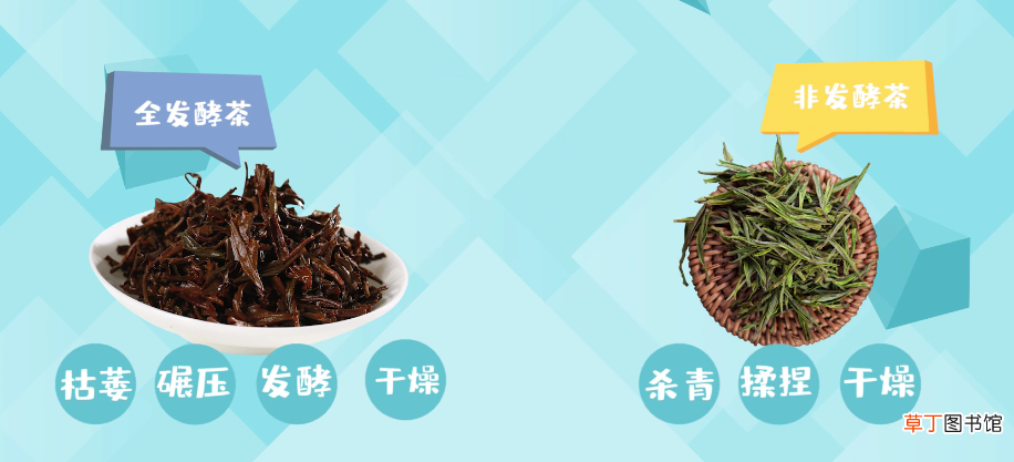 红茶和绿茶的区别