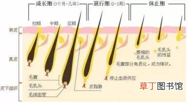冰点脱毛后多久能碰水 脱毛维持多久