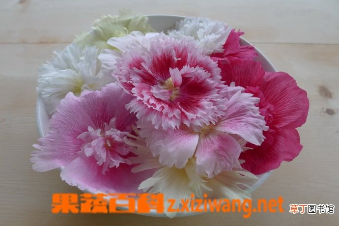 鲜花怎么吃 鲜花的做法步骤教程