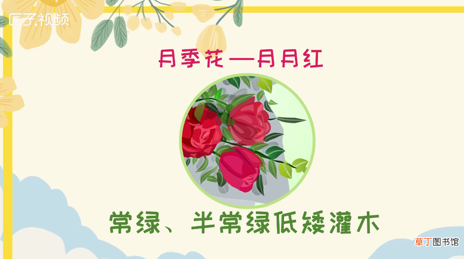春天开的花有哪些