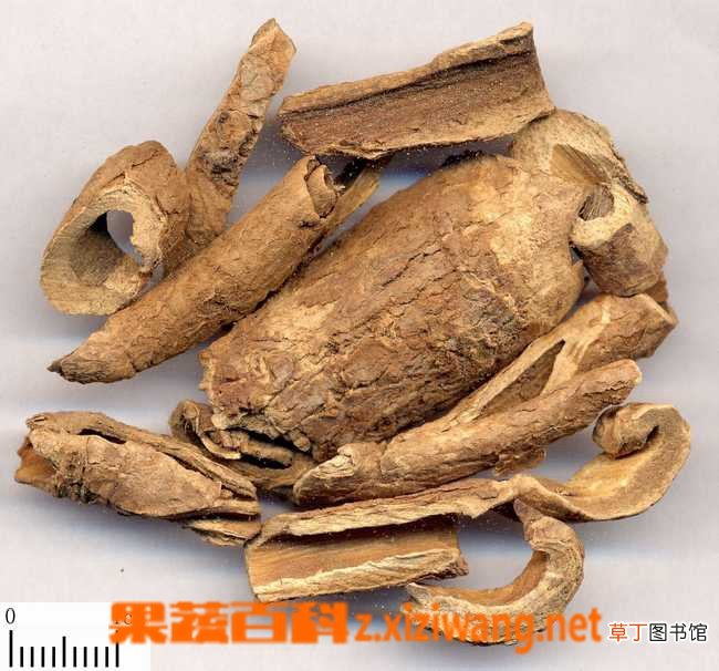 香加皮的功效与作用
