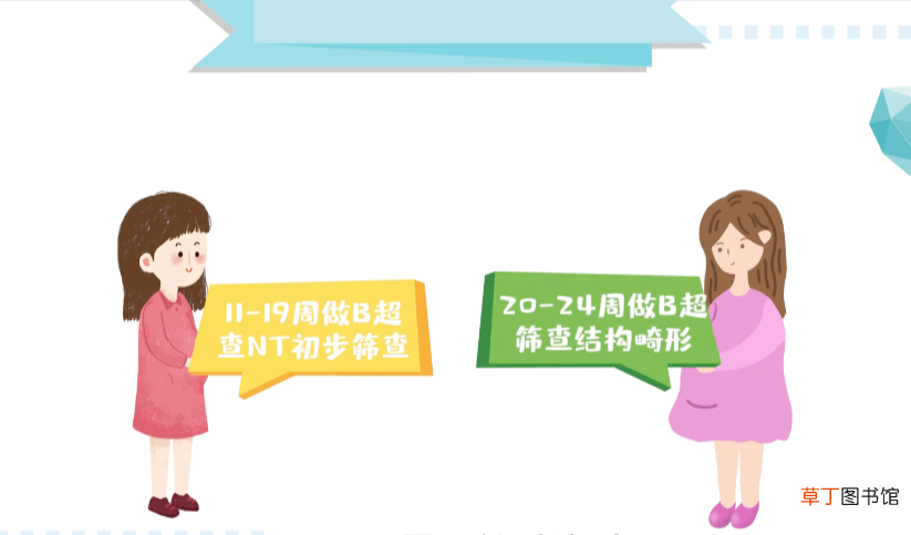 四维彩超的最佳时间是多少周