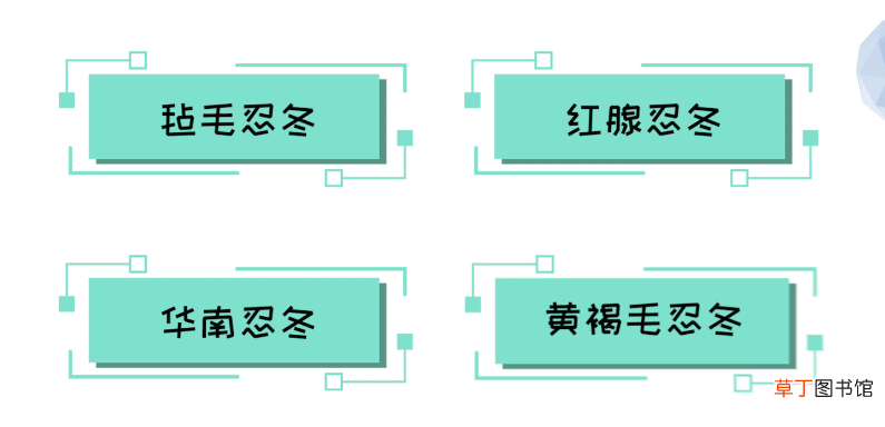 山银花和金银花的区别
