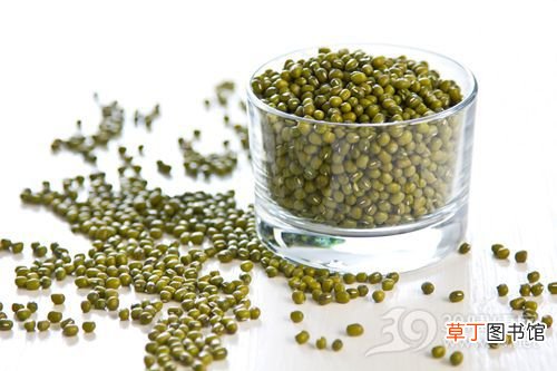 绿豆沙与绿豆汤做法可不一样