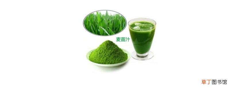 小麦苗汁的危害性