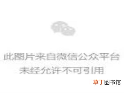 深圳人,不懂浪漫?