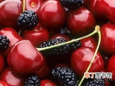 雪莲果常温下可以放多少天 雪莲果能放多久