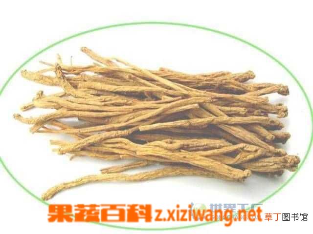 党参的功效和副作用