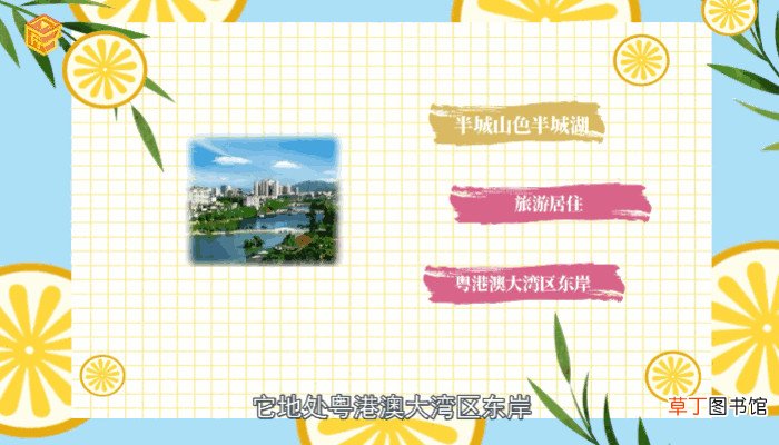 惠州属于哪个省