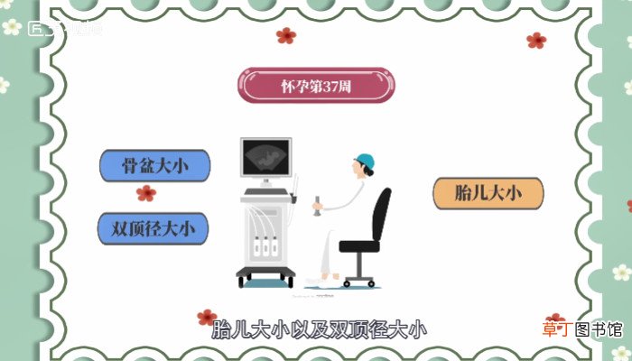 双顶径是什么意思