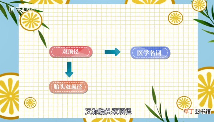 双顶径是什么意思